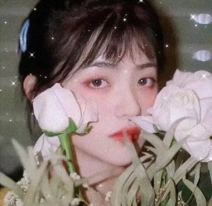 如果我告白的话