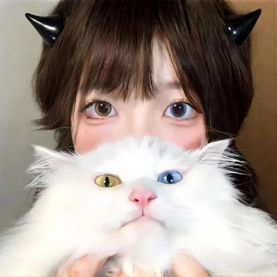 过年回家